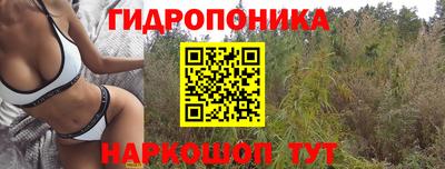 a pvp Кандалакша